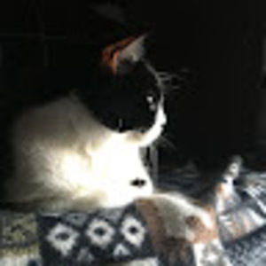 Meet your Posher, Leaann